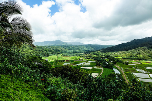 Hanalei Hanalei
